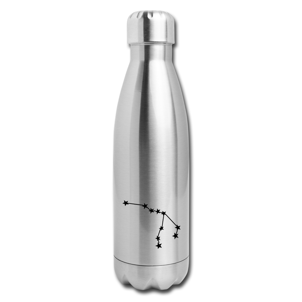 Insulated Stainless Steel Water Bottle - Aquarius - silver