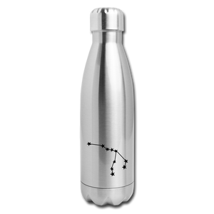 Insulated Stainless Steel Water Bottle - Aquarius - silver