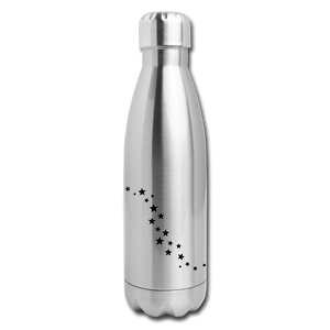 Insulated Stainless Steel Water Bottle - silver