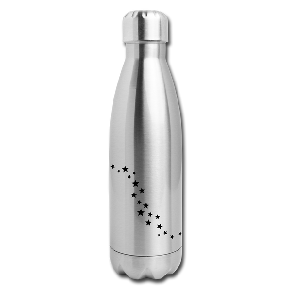 Insulated Stainless Steel Water Bottle - silver