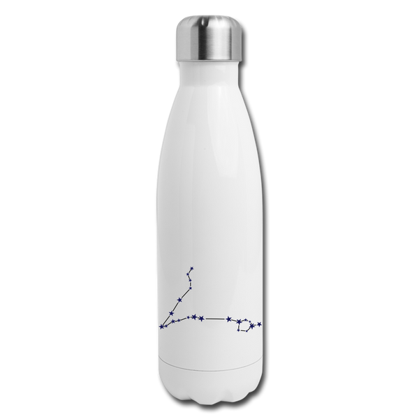 Insulated Stainless Steel Water Bottle - Pisces - white