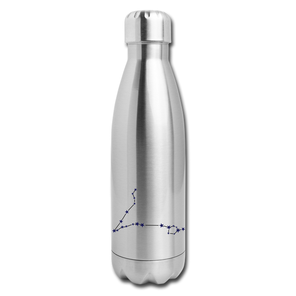 Insulated Stainless Steel Water Bottle - Pisces - silver