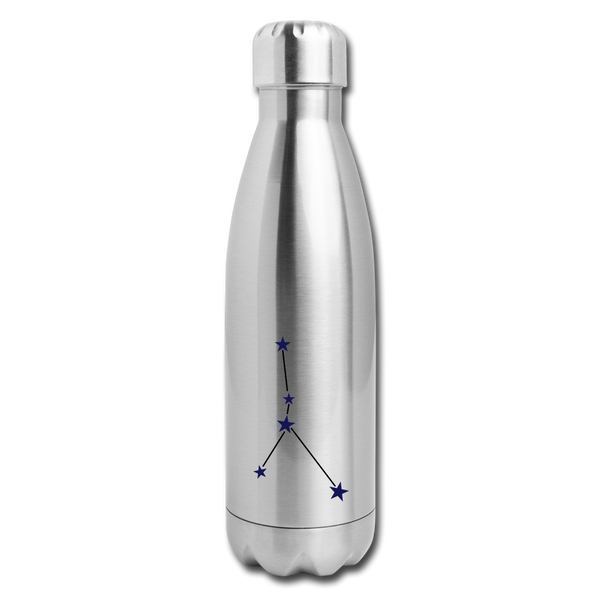 Insulated Stainless Steel Water Bottle Cancer - silver